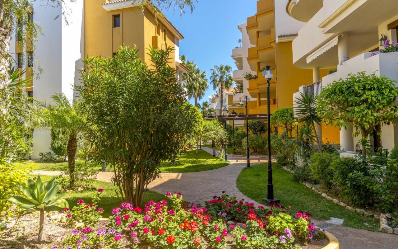 Ático - Reventa - Torrevieja - 4-AT-178