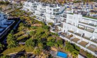 Bruktbolig - Penthouse - Torrevieja - La Ciñuela