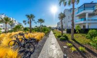 Bruktbolig - Penthouse - Torrevieja - La Ciñuela