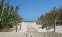 New Build - Apartment - Pilar de la Horadada