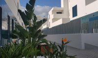 New Build - Flat - Orihuela - Playa Flamenca