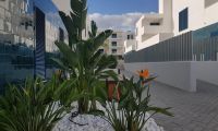 New Build - Flat - Orihuela - Playa Flamenca