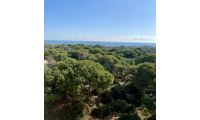New Build - Penthouse - Guardamar del Segura - CENTRO