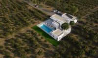 New Build - Villa - Benejúzar - alta