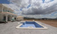 New Build - Villa - Pinoso - Camino Del Prado