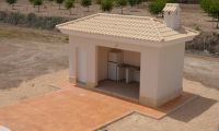 New Build - Villa - Pinoso - Camino Del Prado