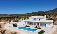 New Build - Villa - Pinoso - Camino Del Prado