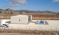 New Build - Villa - Pinoso - Camino Del Prado