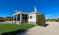 New Build - Villa - Pinoso - Camino Del Prado