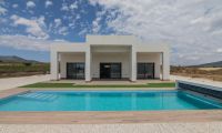 New Build - Villa - Pinoso - Campo