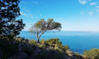  Nouvelle construction - Appartement - Villajoyosa - Playas Del Torres