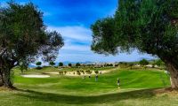  Nouvelle construction - Bungalow - Orihuela - Vistabella golf