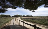  Nouvelle construction - Bungalow - Torrevieja - Altos del Sol