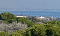  Nouvelle construction - Penthouse - Guardamar del Segura - CENTRO