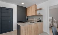  Nouvelle construction - Rez de chaussée - Algorfa - Lo crispin