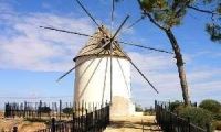  Nouvelle construction - Ville  - Torre Pacheco - Torre-pacheco
