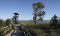 Nybygg - Bungalow  - Torrevieja - Torrejón