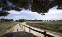 Nybygg - Bungalow  - Torrevieja - Torrejón