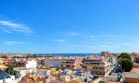 Nybygg - Leilighet - Torrevieja - Nueva Torrevieja