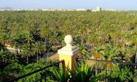 Nybygg - Penthouse - Elche - Centro