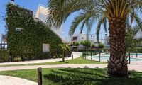Nybygg - Penthouse - Vera - Vera playa