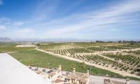 Nybygg - Villa - Algorfa - La finca golf