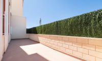 Obra Nueva - Apartamento - Orihuela Costa - Lomas de Cabo Roig