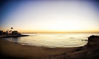 Obra Nueva - Apartamento - Torrevieja - Punta Prima