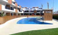 Obra Nueva - Bungalow - Pilar de la Horadada - Polideportivo