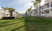 Obra Nueva - Bungalow - Torrevieja - Los Balcones