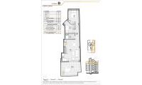 Obra Nueva - Penthouse - Guardamar del Segura - CENTRO