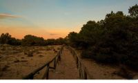 Obra Nueva - Villa - La marina - La Marina / El Pinet
