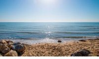 Obra Nueva - Villa - La marina - La Marina / El Pinet