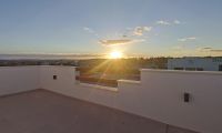 Obra Nueva - Villa - Los Montesinos - La herrada