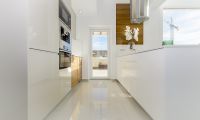 Obra Nueva - Villa - Los Montesinos - La herrada