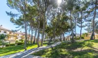 Resale - Apartment - Pilar de la Horadada - Mil Palmeras/Riomar