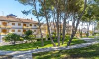 Resale - Apartment - Pilar de la Horadada - Mil Palmeras/Riomar