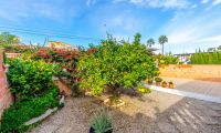 Resale - Detached Villa - Orihuela Costa - Las Mimosas