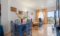Resale - Penthouse - Orihuela Costa - La Ciñuelica