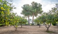Reventa - Adosado - Torrevieja - El Limonar/Paraje Natural