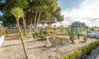 Reventa - Adosado - Torrevieja - El Limonar/Paraje Natural