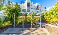 Reventa - Apartamento - Torrevieja - Los Altos