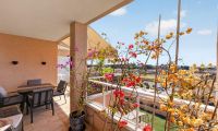Reventa - Apartamento - Torrevieja - Punta Prima